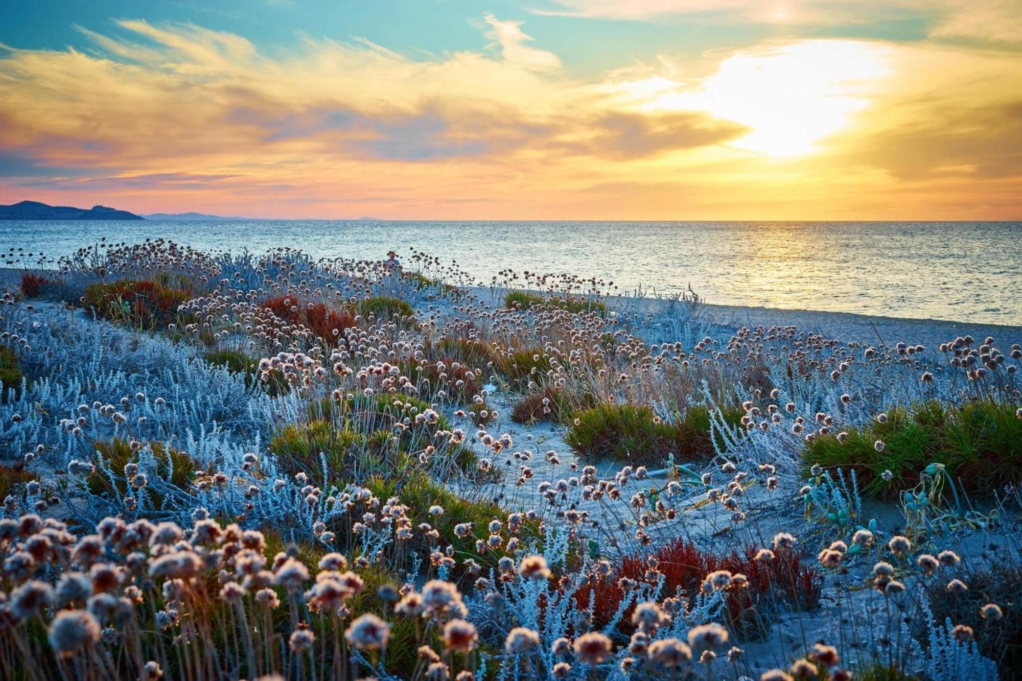 Casa vacanze Sunset Bay Tecno Sardinia *
